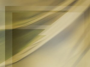 加盟体系